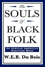 Souls of Black Folk (an African American Heritage Book)