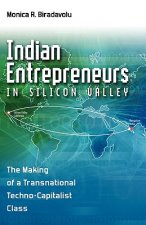 Indian Entrepreneurs in Silicon Valley