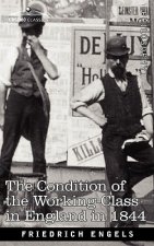 Condition of the Working-Class in England in 1844