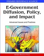 E-Government Diffusion, Policy, and Impact