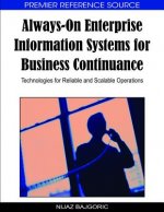 Always-on Enterprise Information Systems for Business Continuance