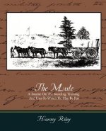 Mule - A Treatise on the Breeding, Training, and Uses to Which He May Be Put