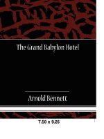 Grand Babylon Hotel