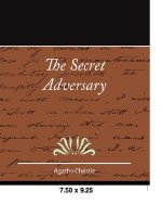 Secret Adversary