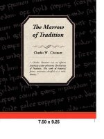 Marrow of Tradition