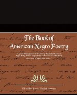 Book of American Negro Poetry