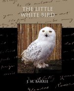 Little White Bird