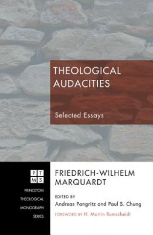 Theological Audacities
