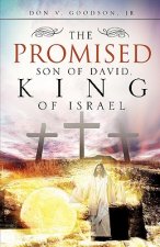 Promised Son of David, King of Israel