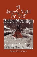 Snowy Night on Old Baldy Mountain