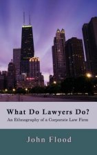 What Do Lawyers Do?