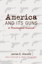 America and Its Guns