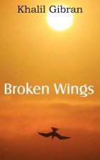 Broken Wings