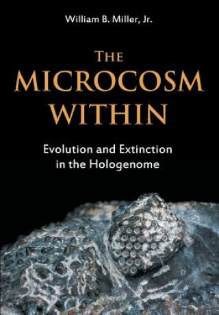 Microcosm Within
