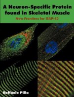 Neuron-Specific Protein found in Skeletal Muscle