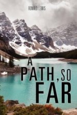 Path, So Far