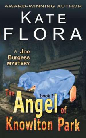 Angel of Knowlton Park (a Joe Burgess Mystery, Book 2)