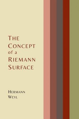 Concept of a Riemann Surface