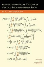 Mathematical Theory of Viscous Incompressible Flow