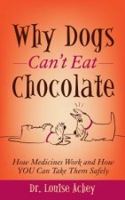 Why Can't Dogs Eat Chocolate