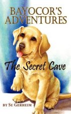 Bayocor Adventures, The Secret Cave