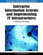 Enterprise Information Systems and Implementing IT Infrastructures