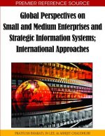 Global Perspectives on Small and Medium Enterprises and Strategic Information Systems; International Approaches