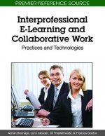 Interprofessional E-Learning and Collaborative Work