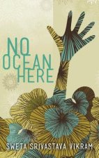 No Ocean Here