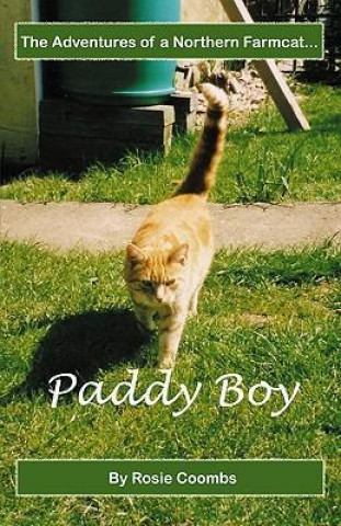 Paddy Boy