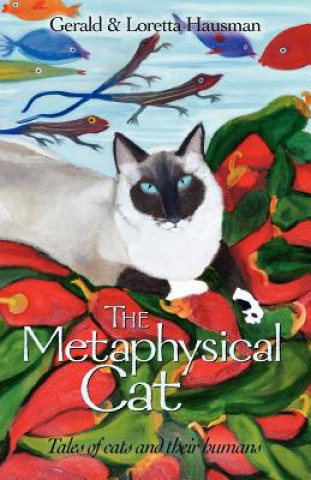 Metaphysical Cat