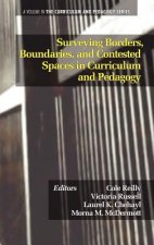 Surveying Borders, Boundaries and Contested Spaces in Curriculum and Pedagogy
