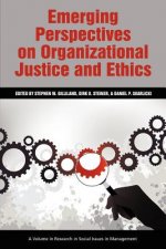 Emerging Perspectives on Organizational Justice and Ethics