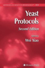 Yeast Protocols