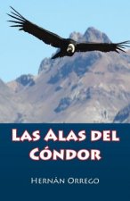 Alas Del Condor