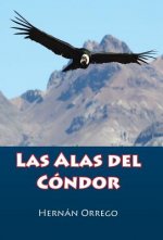 Alas Del Condor