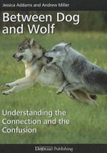 Between Dog and Wolf