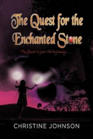 Quest for the Enchanted Stone