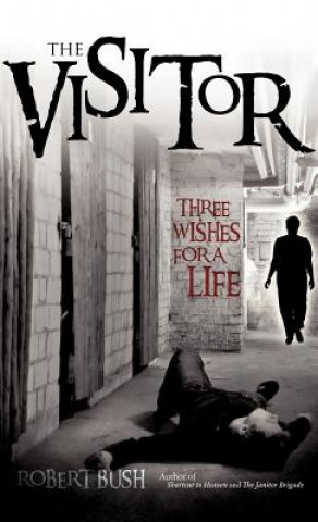 Visitor