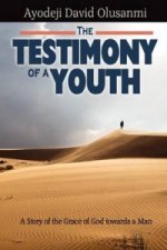 Testimony of a Youth