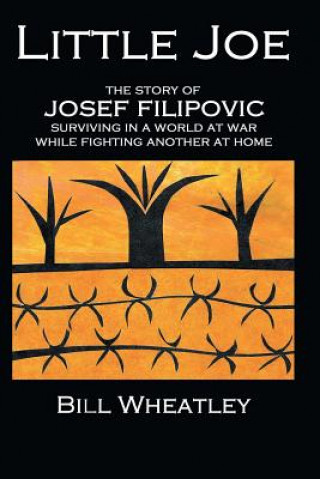 Little Joe - The Story of Josef Filipovic Surviving in a World at War While Fighting Another at Home