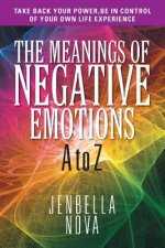Meanings of Negative Emotions