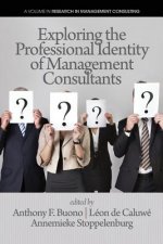 Exploring the Professional Identity of Management Consultants