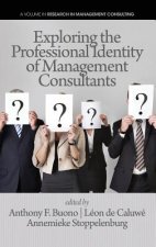 Exploring the Professional Identity of Management Consultants