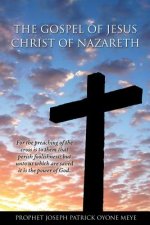 Amazing Story of Jesus' Life
