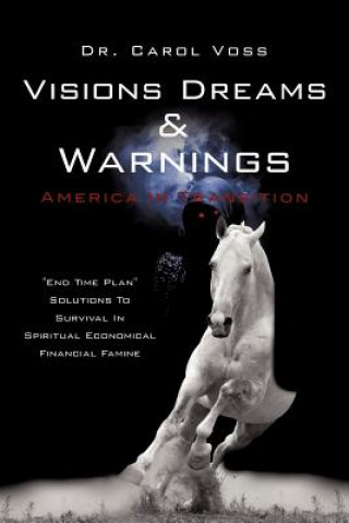 Visions Dreams and Warnings America In Transition