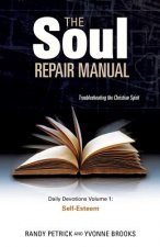 Soul Repair Manual- Volume One