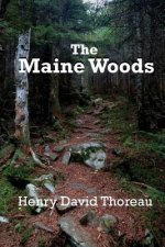 Maine Woods