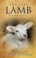 Last Lamb