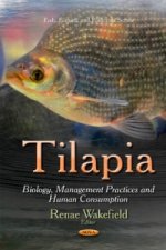 Tilapia